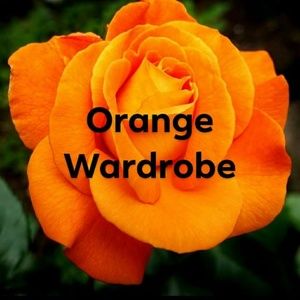 💥Orange Wardrobe